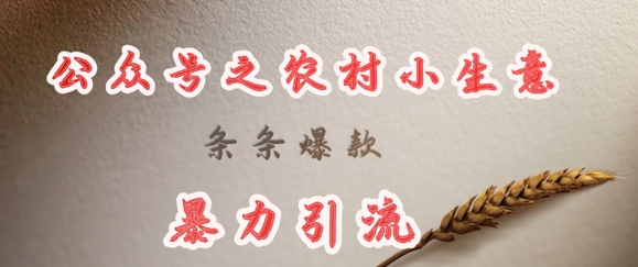 deepseek写农村小项目，条条爆款，暴力引流 - 严选资源大全 - 严选资源大全