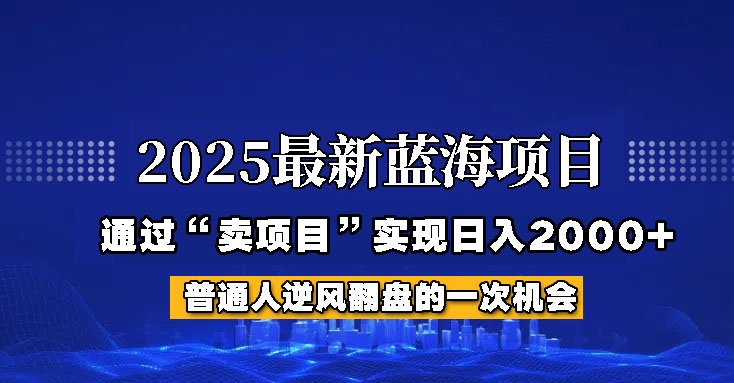 2025年蓝海项目，如何通过“网创项目”日入2000+ - 严选资源大全 - 严选资源大全