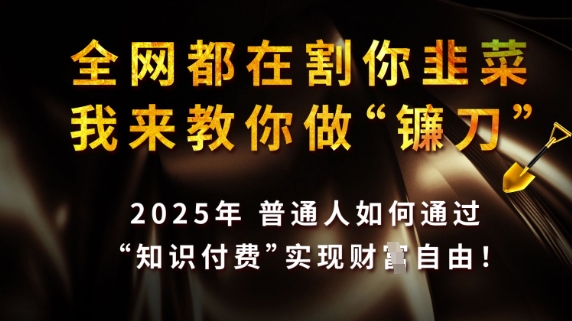 全网都在割你韭菜，我来教你做镰刀，2025普通人如何通过知识付费，实现财F自由【揭秘】 - 严选资源大全 - 严选资源大全