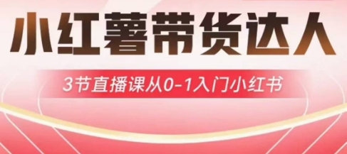 小红薯达人带货启航计划，3节直播课从0-1入门小红书 - 严选资源大全 - 严选资源大全
