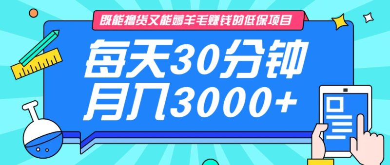 既能撸货又能赚钱的长期低保项目,每天30分钟,多号百分百稳定月入3000+! - 严选资源大全 - 严选资源大全