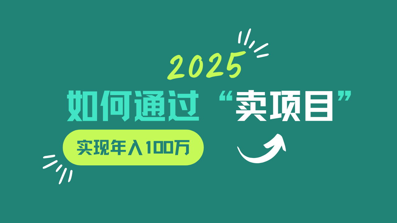 2025年如何通过“卖项目”实现年入100w - 严选资源大全 - 严选资源大全