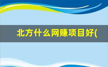 北方什么网赚项目好(北方什么网比较好) - 严选资源大全 - 严选资源大全