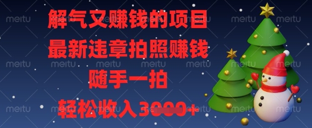 解气又挣钱的项目，最新违章拍照挣钱，随手一拍，轻松收入数张【揭秘】 - 严选资源大全 - 严选资源大全