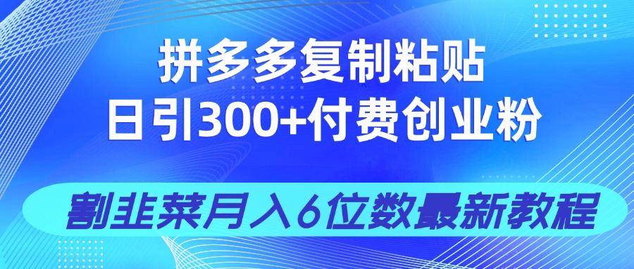 拼多多复制粘贴日引300+付费创业粉，割韭菜月入6位数最新教程！ - 严选资源大全 - 严选资源大全