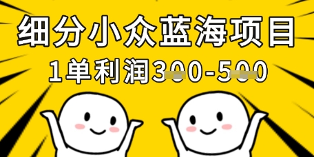 细分小众蓝海项目，一单利润3张，每月收入稳定过1w+ - 严选资源大全 - 严选资源大全