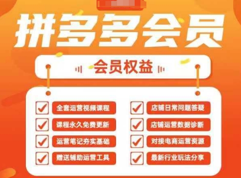 2025拼多多运营实战课，40节全流程教学，覆盖拼多多运营全链路 - 严选资源大全 - 严选资源大全