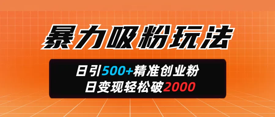 暴力吸粉玩法，日引500+精准创业粉，日变现轻松破2000 - 严选资源大全 - 严选资源大全