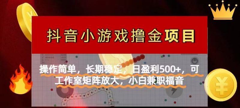 【抖音小游戏发行人计划项目】操作简单,长期稳定,日盈利500+,可工作… - 严选资源大全 - 严选资源大全