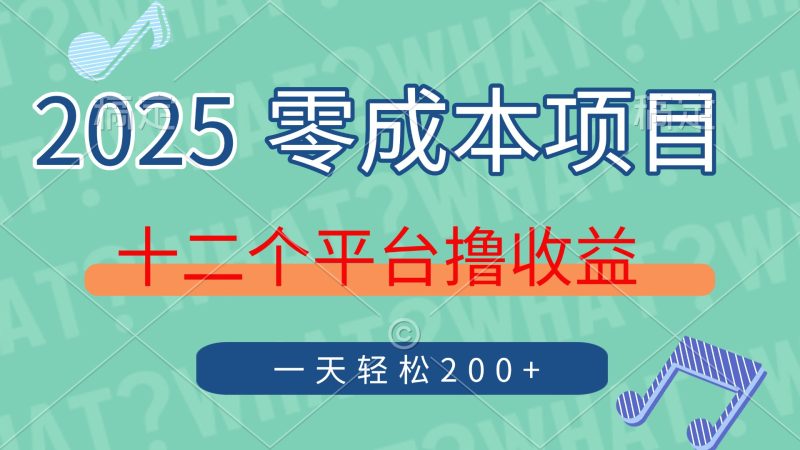 2025年零成本项目，十二个平台撸收益，单号一天轻松200+ - 严选资源大全 - 严选资源大全