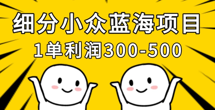 细分小众蓝海项目，一单利润300-500，每月收入稳定4w+ - 严选资源大全 - 严选资源大全