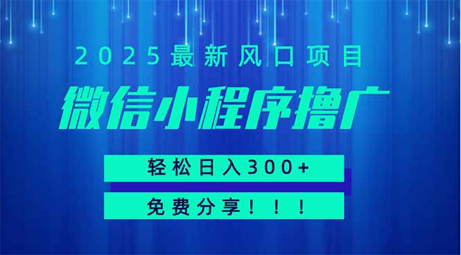 微信小程序撸广，最新风口项目，日入300+ 免费分享 可批量操作 小白可… - 严选资源大全 - 严选资源大全