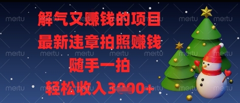 解气又挣钱的项目，最新违章拍照挣钱，随手一拍，轻松收入多张【揭秘】 - 严选资源大全 - 严选资源大全