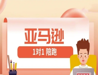 亚马逊1对1陪跑课(FBA/FBM精铺)跨境亚马逊教程 - 严选资源大全 - 严选资源大全
