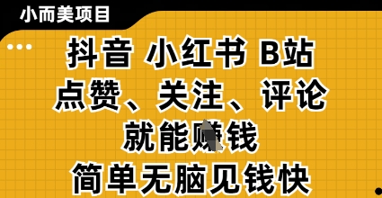小而美的项目，抖音小红书B站视频点赞、关注、评论就能挣钱，简单无脑立见收益，妥妥的零撸项目【揭秘】 - 严选资源大全 - 严选资源大全