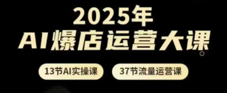 2025年AI爆店运营大课，13节AI实操课+37节流量运营课 - 严选资源大全 - 严选资源大全