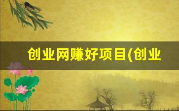 创业网赚好项目(创业挣钱项目) - 严选资源大全 - 严选资源大全