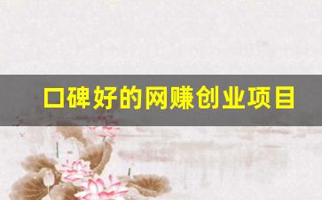 口碑好的网赚创业项目(最挣钱网络创业项目) - 严选资源大全 - 严选资源大全