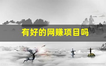 有好的网赚项目吗 - 严选资源大全 - 严选资源大全