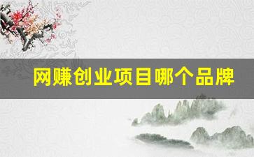 网赚创业项目哪个品牌好(最挣钱网络创业项目) - 严选资源大全 - 严选资源大全