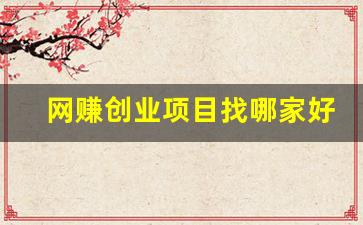 网赚创业项目找哪家好(网上创业赚钱的平台哪个好) - 严选资源大全 - 严选资源大全