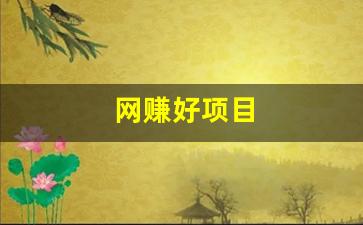 网赚好项目 - 严选资源大全 - 严选资源大全