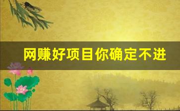 网赚好项目你确定不进来(网络赚项目) - 严选资源大全 - 严选资源大全