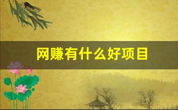 网赚有什么好项目 - 严选资源大全 - 严选资源大全