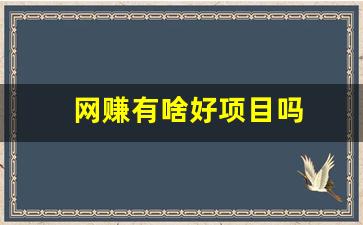 网赚有啥好项目吗 - 严选资源大全 - 严选资源大全