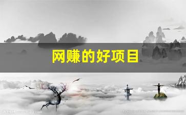 网赚的好项目 - 严选资源大全 - 严选资源大全