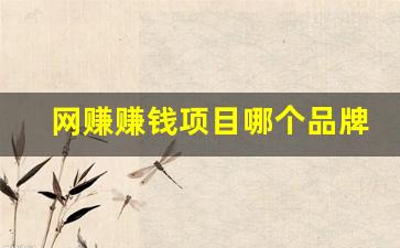 网赚赚钱项目哪个品牌好 - 严选资源大全 - 严选资源大全