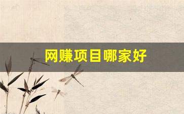 网赚项目哪家好 - 严选资源大全 - 严选资源大全