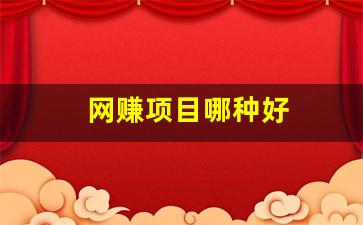 网赚项目哪种好 - 严选资源大全 - 严选资源大全