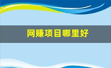 网赚项目哪里好 - 严选资源大全 - 严选资源大全