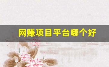 网赚项目平台哪个好 - 严选资源大全 - 严选资源大全