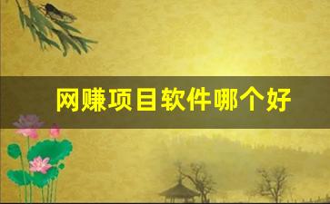 网赚项目软件哪个好 - 严选资源大全 - 严选资源大全