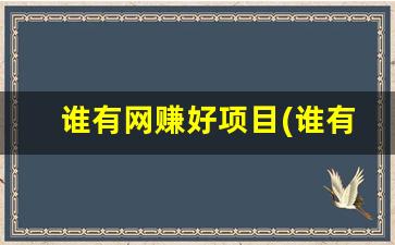 谁有网赚好项目(谁有网上挣钱的路子) - 严选资源大全 - 严选资源大全