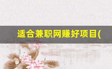 适合兼职网赚好项目(真正兼职能赚到钱的网站) - 严选资源大全 - 严选资源大全