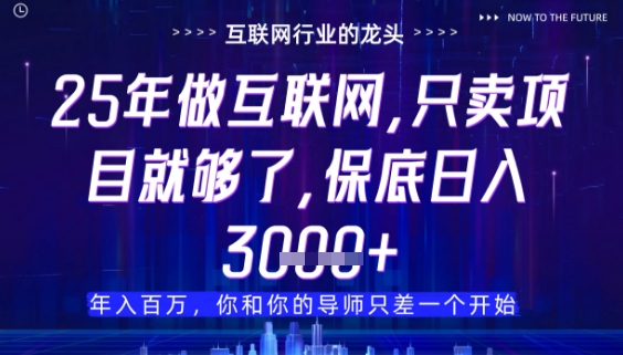 什么！25年你还在找项目做？风口早就变了，卖项目才是稳挣不赔【揭秘】 - 严选资源大全 - 严选资源大全