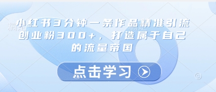 小红书3分钟一条作品精准引流创业粉300+，打造属于自己的流量帝国 - 严选资源大全 - 严选资源大全