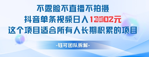 不露脸不直播不拍摄抖音单条视频日入1k+这个项目适合所有人长期积累的项目 - 严选资源大全 - 严选资源大全