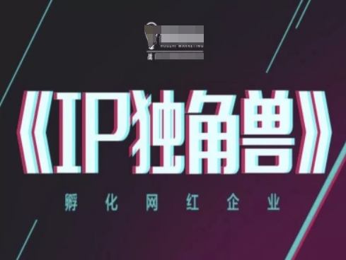 IP独角兽，孵化网红企业，ip教程 - 严选资源大全 - 严选资源大全