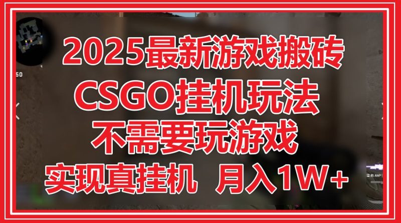 2025最新游戏搬砖，CSGO挂机，不需要玩游戏，实现真挂机，月入1W+ - 严选资源大全 - 严选资源大全