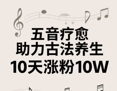 古法五音养生教程，五音疗愈的视频的制作方法，2-4小时就能学会，作者10天涨粉10W - 严选资源大全 - 严选资源大全