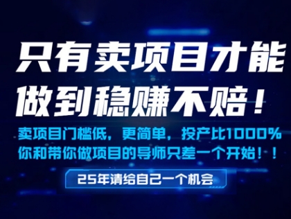 只有卖项目才能做到稳挣不赔，门槛低，更简单，你也可以年入百个W【揭秘】 - 严选资源大全 - 严选资源大全
