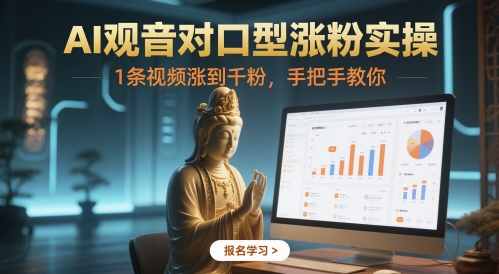 AI观音对口型涨粉实操，1条视频涨到千粉，手把手教你 - 严选资源大全 - 严选资源大全