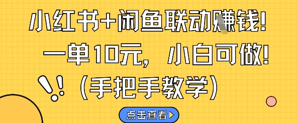 小红书+闲鱼联动挣钱，一单10元，小白可做 - 严选资源大全 - 严选资源大全