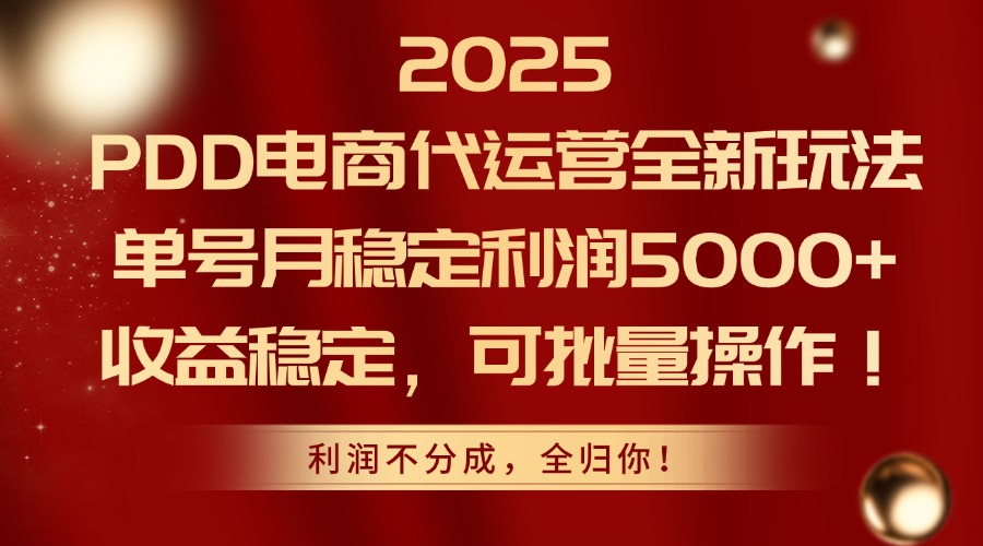 2025PDD电商代运营全新玩法，单号月稳定利润5000+，收益稳定，可批量操作 - 严选资源大全 - 严选资源大全