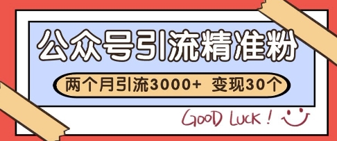 公众号精准粉引流玩法，2个月3000+精准粉，变现30个W【揭秘】 - 严选资源大全 - 严选资源大全
