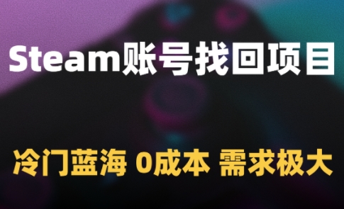 Steam账号找回项目，冷门蓝海，0成本，需求极大 - 严选资源大全 - 严选资源大全